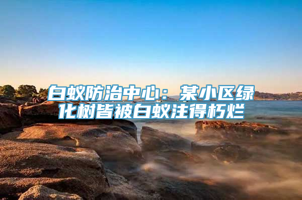 白蚁防治中心：某小区绿化树皆被白蚁注得朽烂