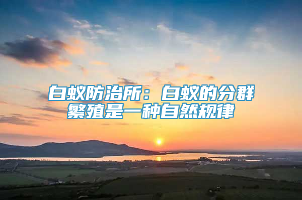 白蚁防治所：白蚁的分群繁殖是一种自然规律