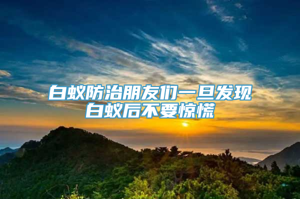 白蚁防治朋友们一旦发现白蚁后不要惊慌