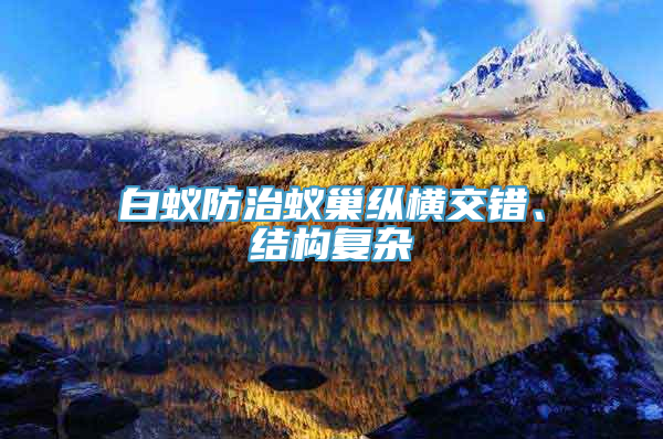 白蚁防治蚁巢纵横交错、结构复杂