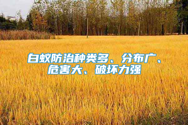 白蚁防治种类多、分布广、危害大、破坏力强