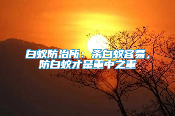 白蚁防治所：杀白蚁容易，防白蚁才是重中之重