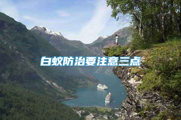 白蚁防治要注意三点