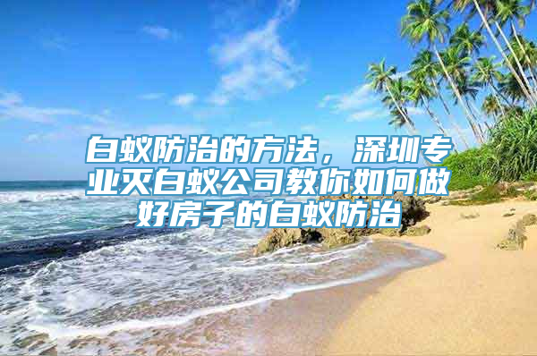 白蚁防治的方法，深圳专业灭白蚁公司教你如何做好房子的白蚁防治