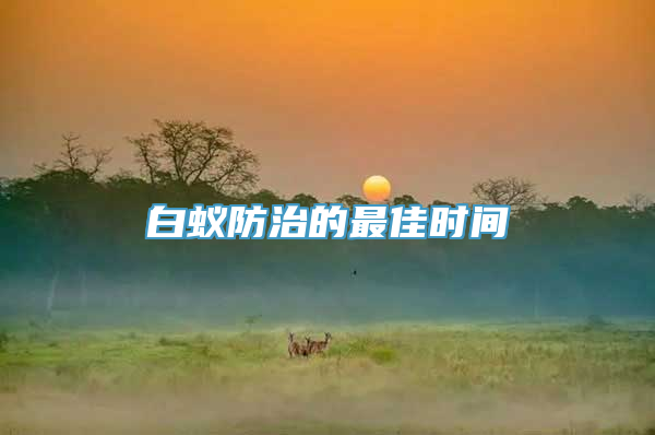 白蚁防治的最佳时间