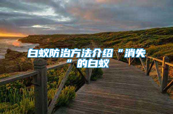 白蚁防治方法介绍“消失”的白蚁