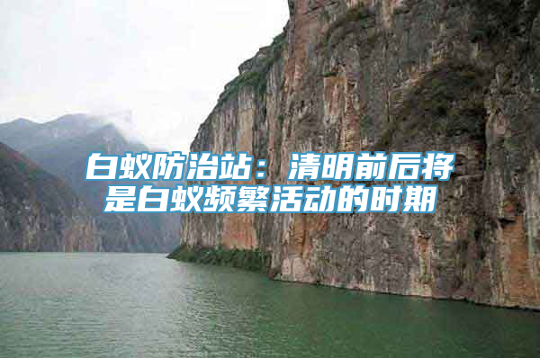 白蚁防治站：清明前后将是白蚁频繁活动的时期