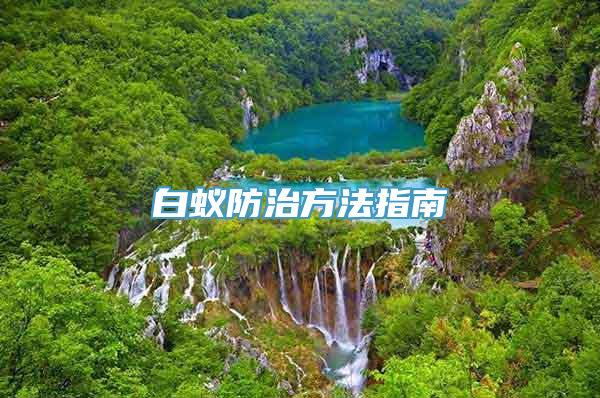 白蚁防治方法指南