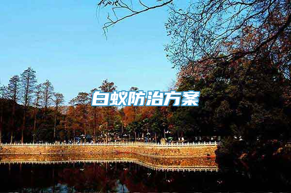 白蚁防治方案