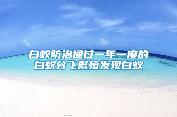白蚁防治通过一年一度的白蚁分飞繁殖发现白蚁