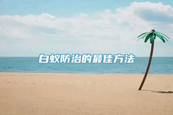 白蚁防治的最佳方法