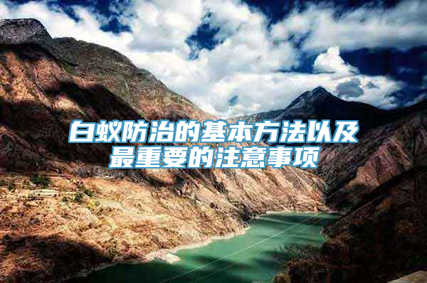 白蚁防治的基本方法以及最重要的注意事项