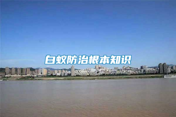 白蚁防治根本知识