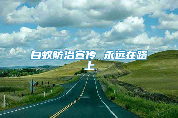 白蚁防治宣传 永远在路上