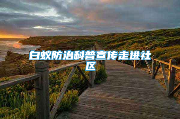 白蚁防治科普宣传走进社区