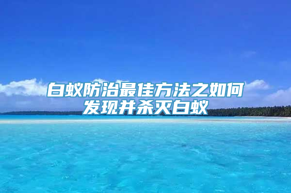 白蚁防治最佳方法之如何发现并杀灭白蚁