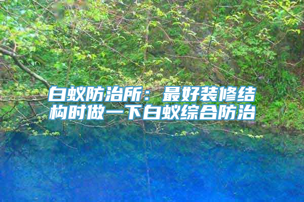 白蚁防治所：最好装修结构时做一下白蚁综合防治