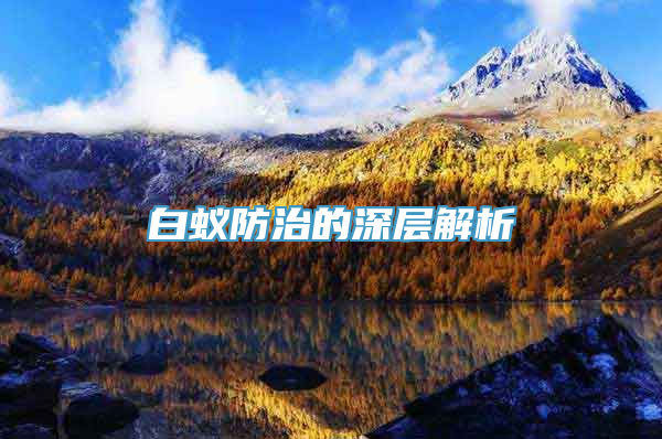 白蚁防治的深层解析
