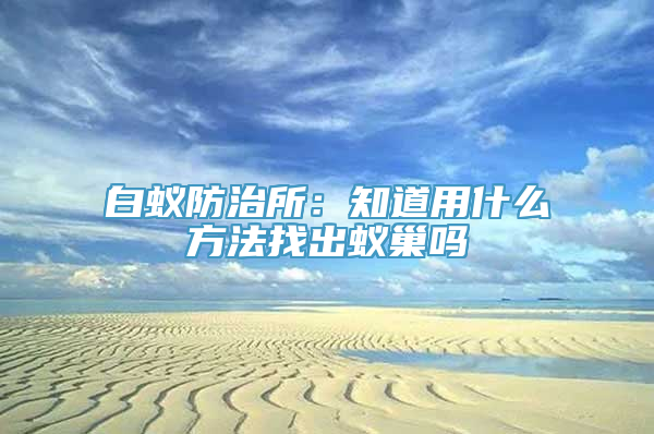 白蚁防治所：知道用什么方法找出蚁巢吗