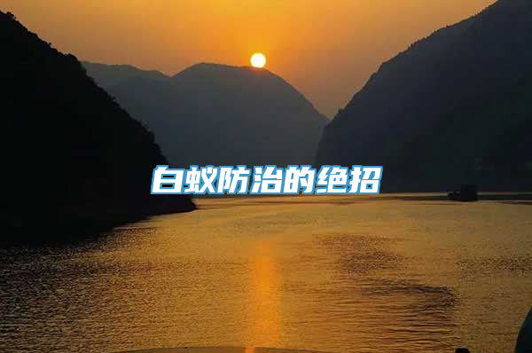 白蚁防治的绝招