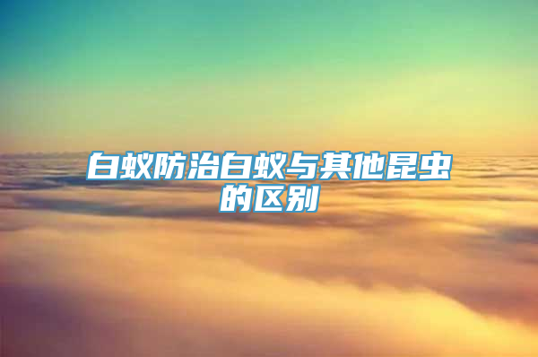 白蚁防治白蚁与其他昆虫的区别