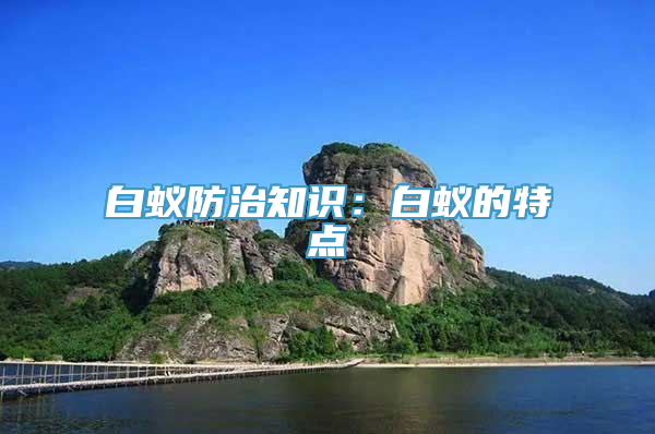 白蚁防治知识：白蚁的特点