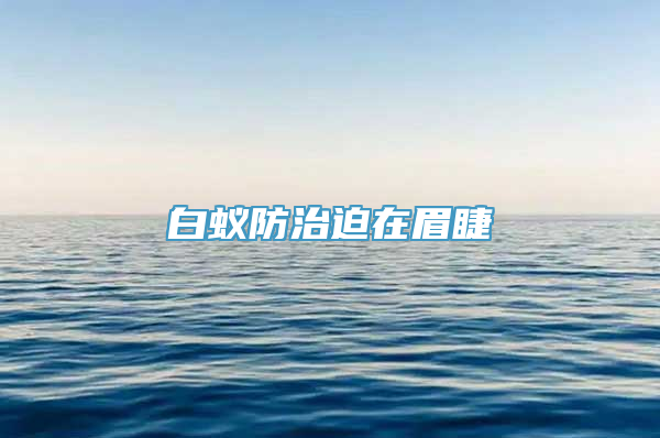 白蚁防治迫在眉睫