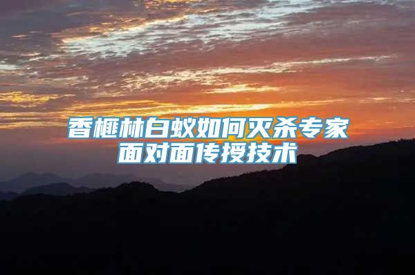 香榧林白蚁如何灭杀专家面对面传授技术