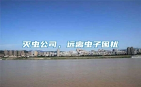 灭虫公司，远离虫子困扰