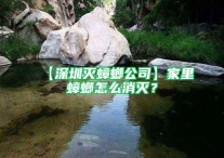 【深圳灭蟑螂公司】家里蟑螂怎么消灭？