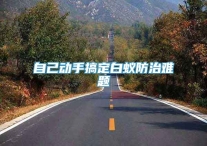 自己动手搞定白蚁防治难题