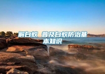 解白蚁 普及白蚁防治基本知识