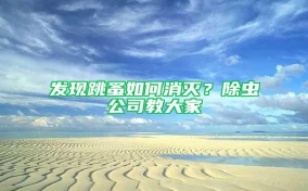 发现跳蚤如何消灭？除虫公司教大家