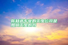 你知道专业的灭虫公司是如何灭虫的吗