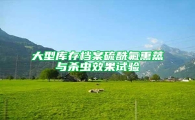 大型库存档案硫酰氟熏蒸与杀虫效果试验