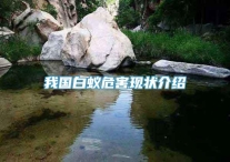 我国白蚁危害现状介绍