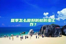 夏季怎么做好防蚊防虫工作？
