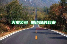 灭虫公司 期待你的到来
