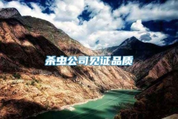 杀虫公司见证品质