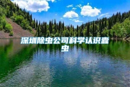 深圳除虫公司科学认识蠹虫
