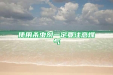 使用杀虫剂一定要注意煤气