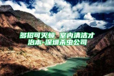 多招可灭蟑 室内清洁才治本-深圳杀虫公司