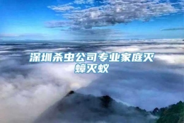 深圳杀虫公司专业家庭灭蟑灭蚁