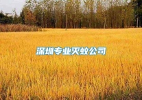 深圳专业灭蚊公司