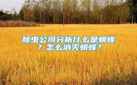 除虫公司分析什么是蛾蠓？怎么消灭蛾蠓？