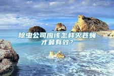 除虫公司应该怎样灭苍蝇才最有效？