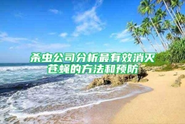 杀虫公司分析最有效消灭苍蝇的方法和预防