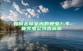 如何去除室内的蜱虫？专业灭虫公司告诉你