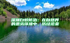 深圳白蚁防治：在自然界的恶劣环境中，历经沧桑
