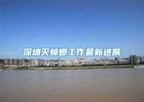 深圳灭蟑螂工作最新进展